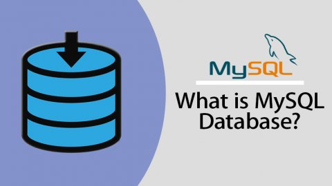 什么是 MySQL？SQL 数据库初学者教程和使用指南