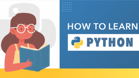 Python学习指南：我应该如何开始学习Python？