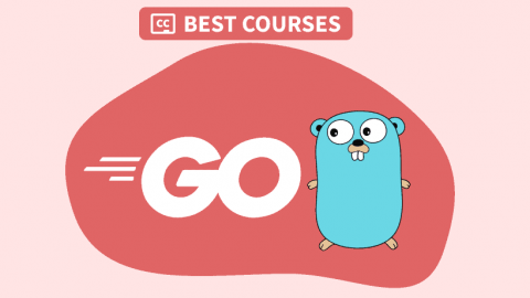 Go语言学习指南：2022年 9个最佳免费Go语言课程
