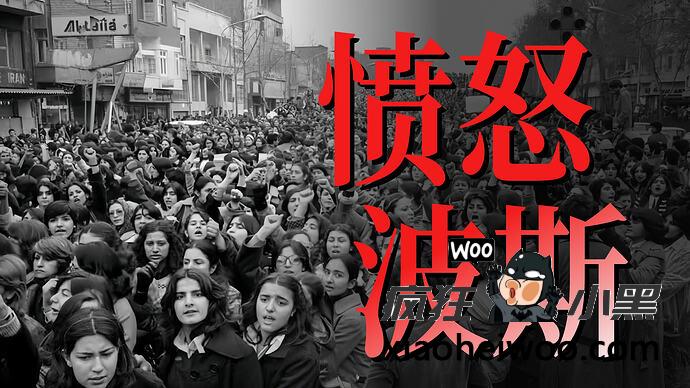小约翰可汗最新力作《风暴之鸟》伊朗革命全系列珍藏版免费分享