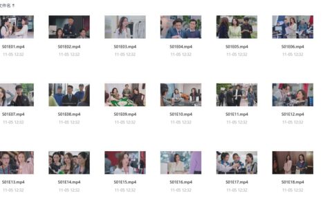 【限时免费】《新闻女王2》2025全季4K60FPS国粤双语版，佘诗曼黄宗泽强强联手！