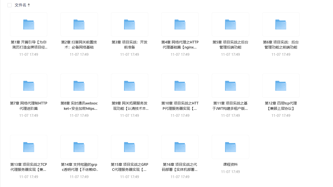 Vue+Go开发企业级微服务网关项目,简历金牌项目实战教程
