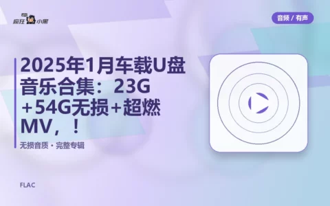 2025年1月车载U盘音乐合集：23G MP3+54G无损FLAC+超燃MV，免费分享！