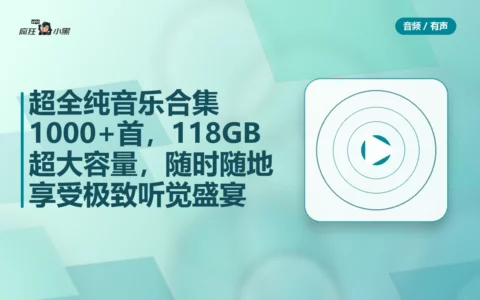 超全纯音乐合集1000+首，118GB超大容量，随时随地享受极致听觉盛宴
