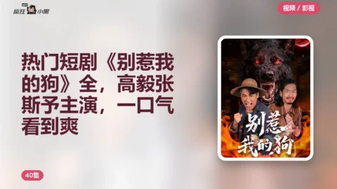 【免费分享】热门短剧《别惹我的狗》全40集，高毅张斯予主演，一口气看到爽