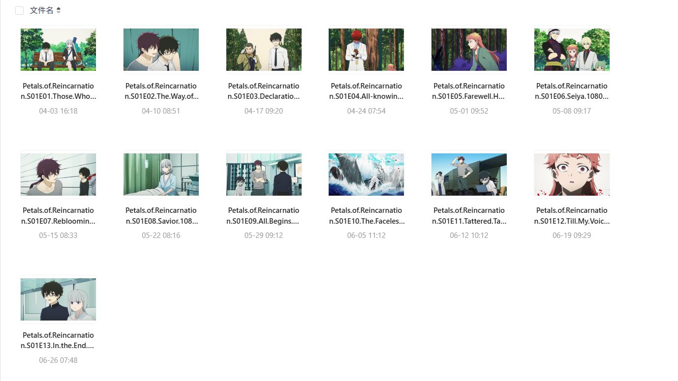 轮回的花瓣 (2026) 全13集1080P内封简繁,奇幻佳作不容错过