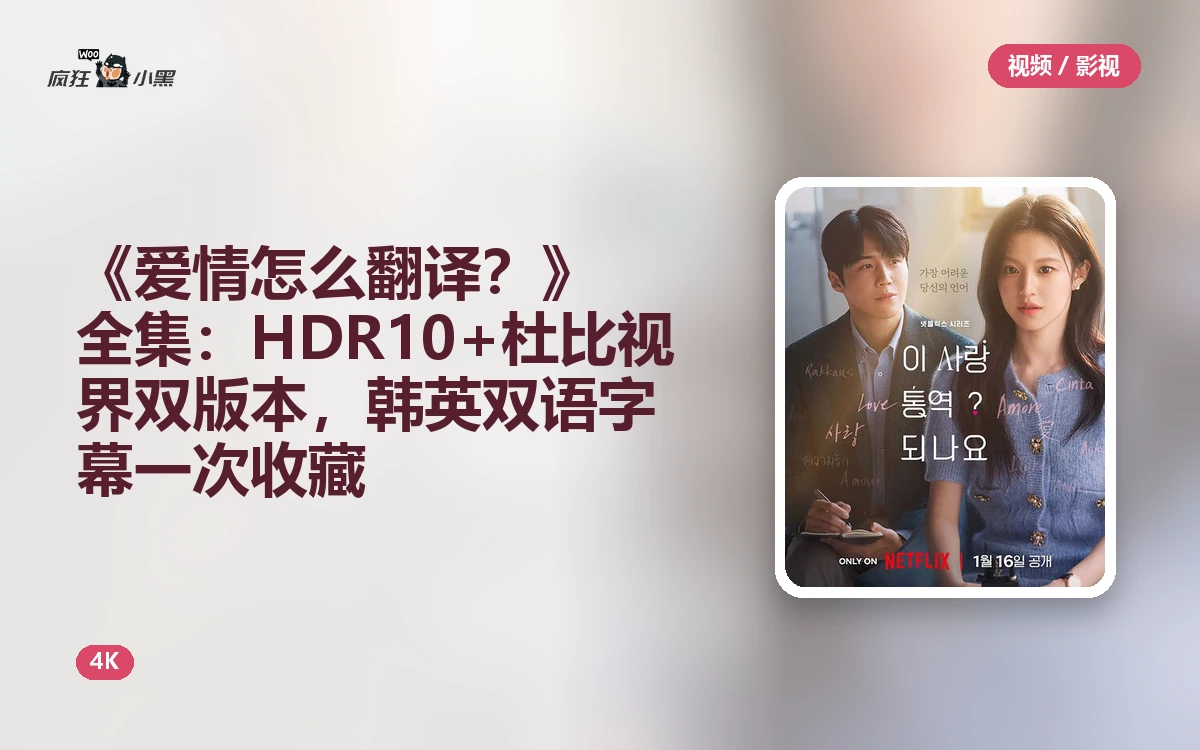 《爱情怎么翻译?》4K全集:HDR10+杜比视界双版本,韩英双语字幕一次收藏