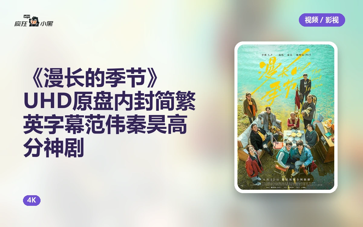 《漫长的季节》4K UHD原盘 内封简繁英字幕 范伟秦昊高分神剧