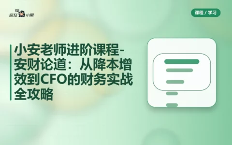小安老师进阶课程-安财论道：从降本增效到CFO的财务实战全攻略