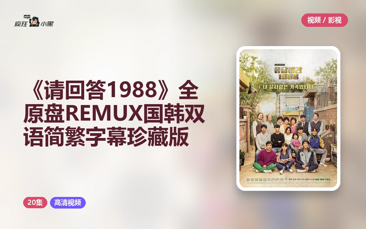 《请回答1988》20集全 1080p原盘REMUX 国韩双语 简繁字幕 珍藏版